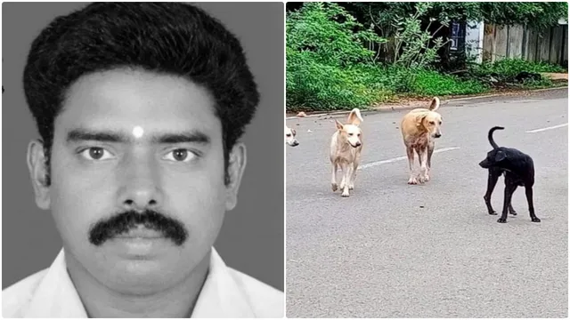 தெருநாய் குறுக்கே வந்ததால் விபத்து.. தொழிலாளி உயிரிழப்பு