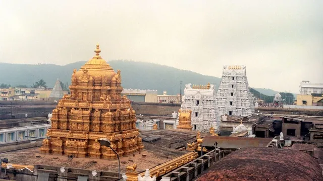 తిరుమల శ్రీవారి సర్వదర్శనానికి 24 గంటల సమయం.