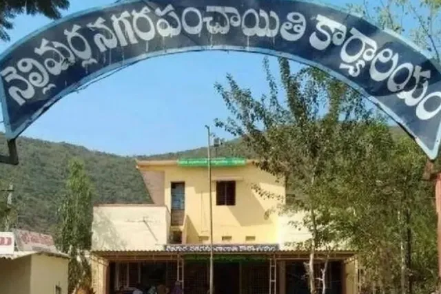 నెల్లిమర్ల: కులాల వారీగా ఓటర్ల వివరాలు ప్రకటన