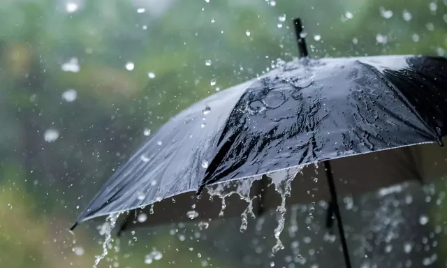 తెలంగాణలోని ఈ జిల్లాల్లో వర్షాలు
