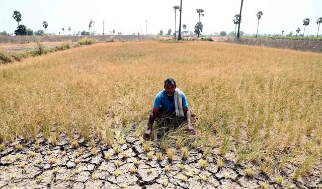 ఎల్నినో ఎఫెక్ట్.. తెలంగాణలో రూ.20వేల కోట్ల పంట నష్టం! ఎల్నినో ఎఫెక్ట్.. తెలంగాణలో రూ.20వేల కోట్ల పంట నష్టం!