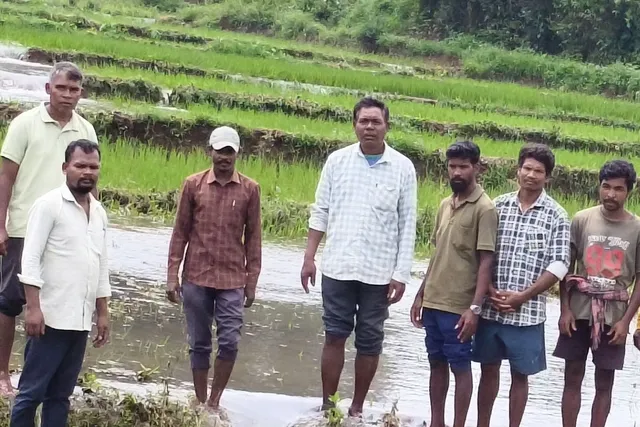 నాలుగు రోజుల వర్షం కారణంగా పంట పొలాల్లో తీవ్ర నష్టం