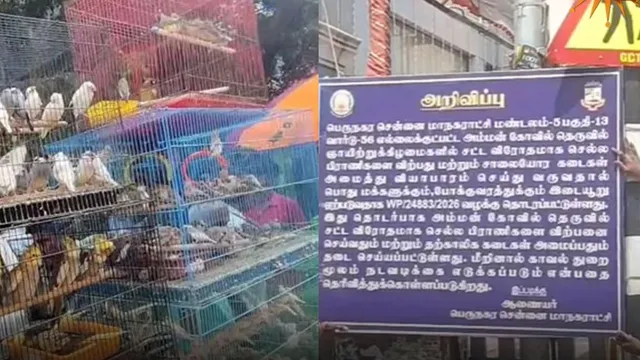 பிராட்வேயில் நடக்கும் வளர்ப்பு பிராணிகள் சந்தைக்கு மாநகராட்சி தடை