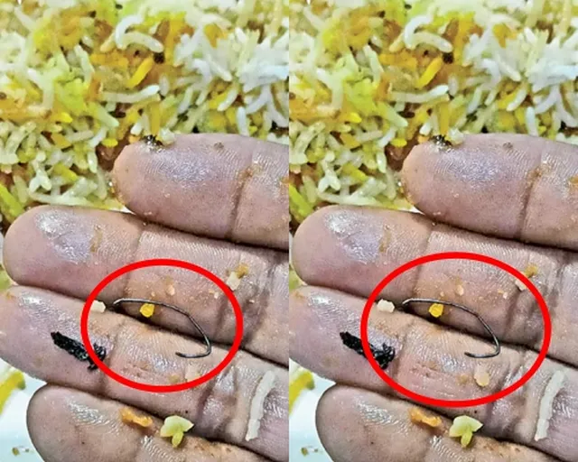 బిర్యానీలో ఇనుప తీగ