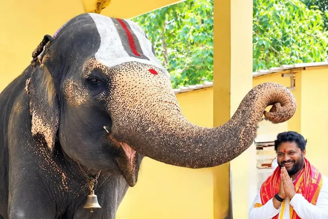 ద్వారకాతిరుమలలో గజలక్ష్మిని దర్శించుకున్న ఎమ్మెల్యే