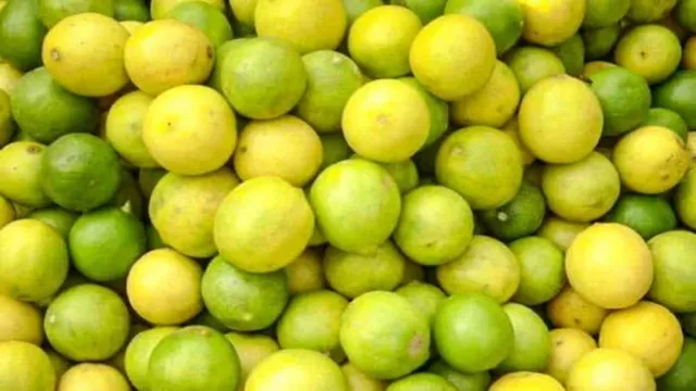 தமிழகத்தில் எலுமிச்சை விலை தொடர்ந்து உயர்வு