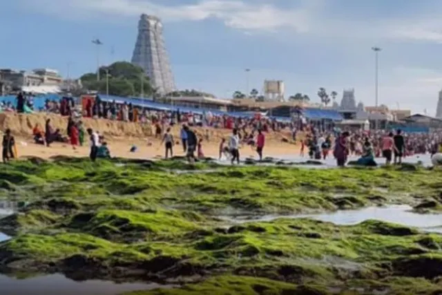 திருச்செந்தூரில் திடீரென 100 அடி உள்வாங்கிய கடல்