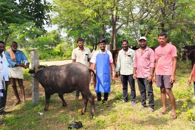 చౌదర్ పల్లిలో పశు వైద్య శిబిరం