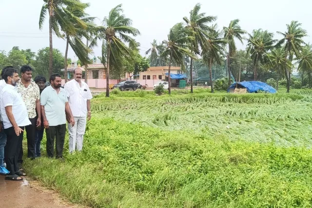 దెబ్బతిన్న పొలాలను పరిశీలించిన ఎమ్మెల్యే