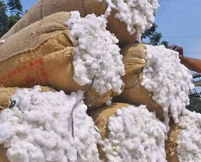 రికార్డు ధర పలికిన పత్తి.. క్వింటా రూ.10,600