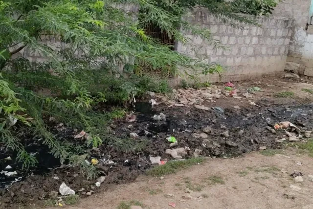 చెత్తాచెదారంతో పూర్తిగా నిండిపోయిన డ్రైనేజీ కాలువలు