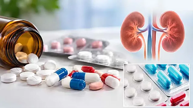 సొంత వైద్యంతో కిడ్నీలకు ముప్పు: సీడీఎస్‌సీఓ