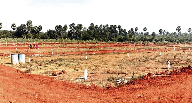 ఏపీలో ఒకేరోజు 28 వేల మందికి పట్టాల పంపిణీ!