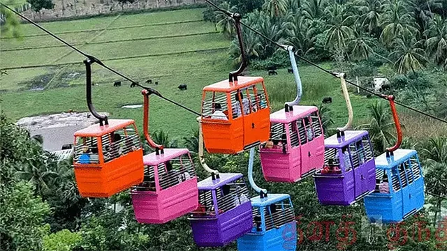 பழனி முருகன் கோவிலில் ரோப்கார் சேவை தற்காலிகமாக நிறுத்தம்