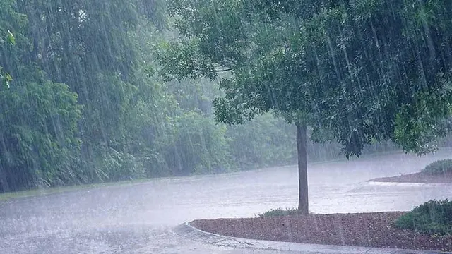 నేడు ఏపీలోని పలు జిల్లాలకు వర్ష సూచన