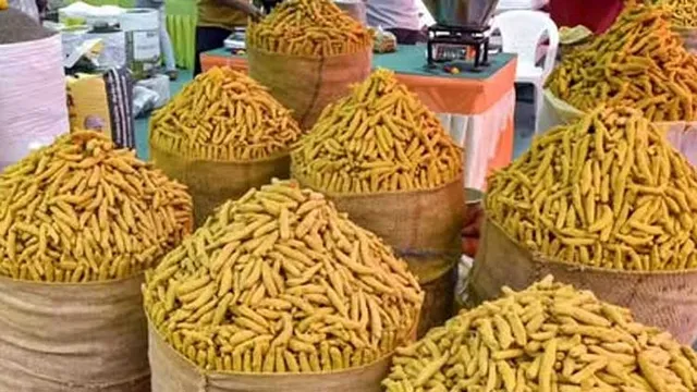 ரூ.24 ஆயிரத்தை நெருங்கும் ஒரு குவிண்டால் மஞ்சள்