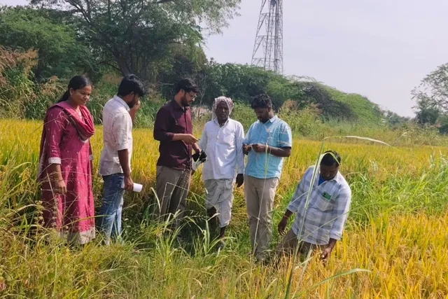 యాసంగిలో తక్కువ నీటితో పండే పంటలను సాగు చేయండి: వ్యవసాయ అధికారి