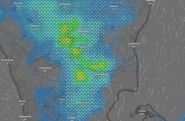 19 மாவட்டங்களில் இரவு 10 மணி வரை மழை 19 மாவட்டங்களில் இரவு 10 மணி வரை மழை