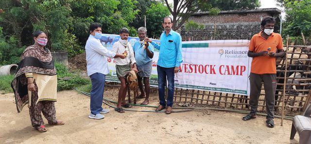 గొర్రెలు, మేకలలో నట్టల నివారణ కార్యక్రమం