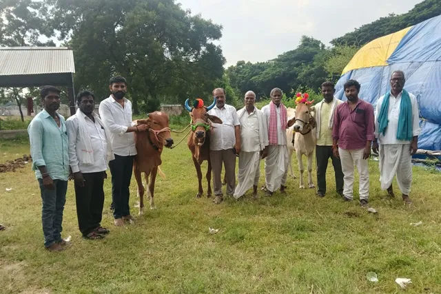 బీర్కూర్‌ గ్రామంలో ఘనంగా ఎడ్ల పొలాల పండుగ