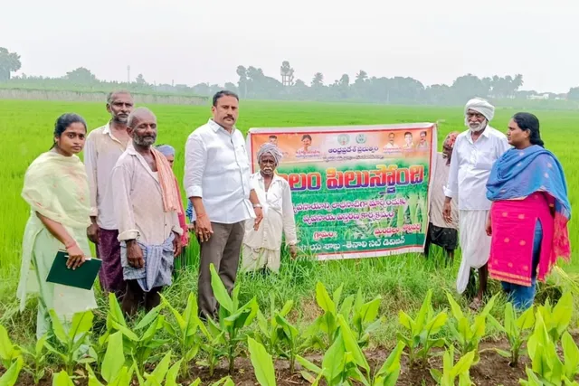అన్నవరం హనుమాన్ పాలెంలో పొలం పిలుస్తుంది