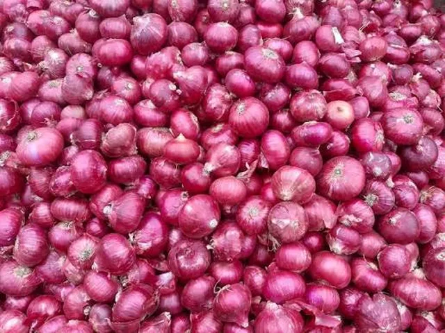 வெங்காய விலை குவிண்டால் ரூ.2,500 ஆக சரிவு