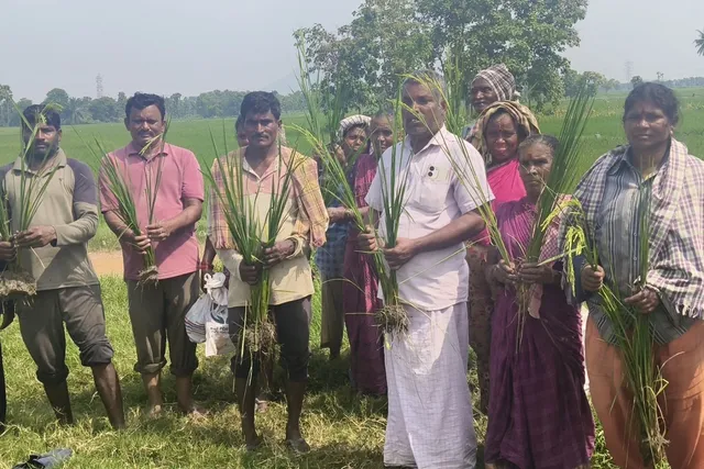 జక్కువులో నకిలీ విత్తనాల కలకలం