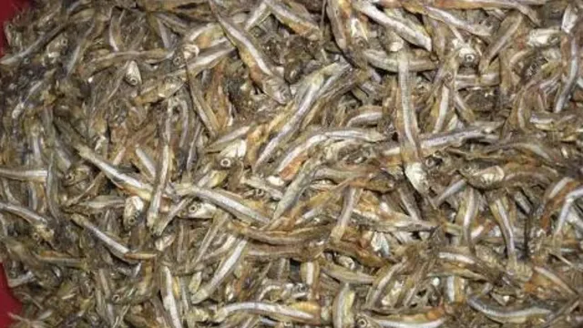கருவாடு சாப்பிடுவதால் இதய நோய்கள் ஏற்படுமா?