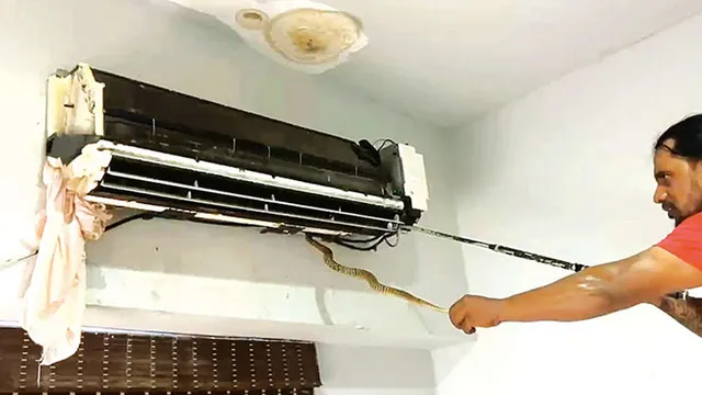 ஏசி எந்திரம் மற்றும் குடைக்குள் பதுங்கிய நல்ல பாம்புகள்