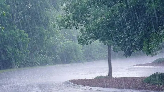 నేడు ఈ జిల్లాల్లో ఉరుములతో కూడిన వర్షాలు