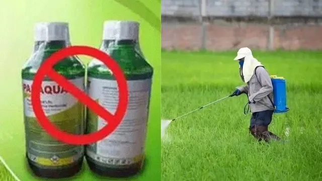 పారాక్వాట్ డైక్లోరైడ్‌ బ్యాన్.. ఉత్తర్వులు జారీ చేసిన కేంద్రం