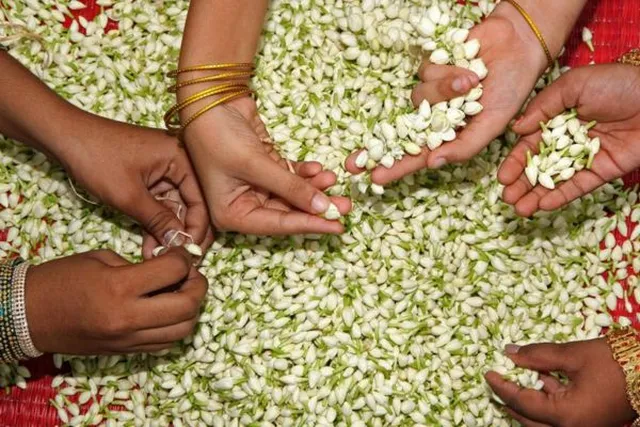 விநாயகர் சதுர்த்தி எதிரொலி.. பூக்கள் விலை கிடுகிடு உயர்வு