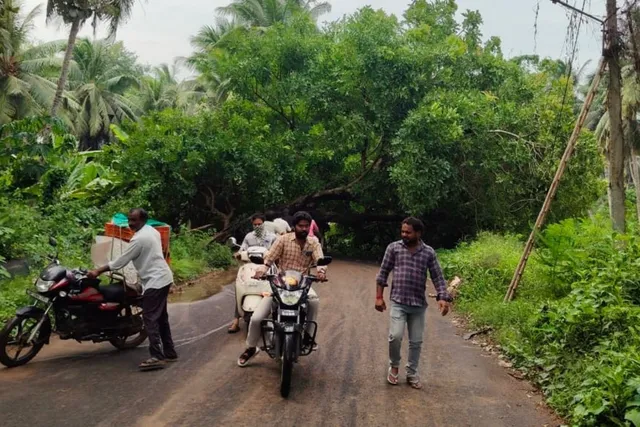 వర్షానికి నేలకి ఒరిగిన వృక్షం