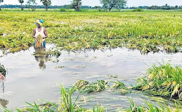 రేపు, ఎల్లుండి రాష్ట్రంలో కేంద్ర బృందం పర్యటన