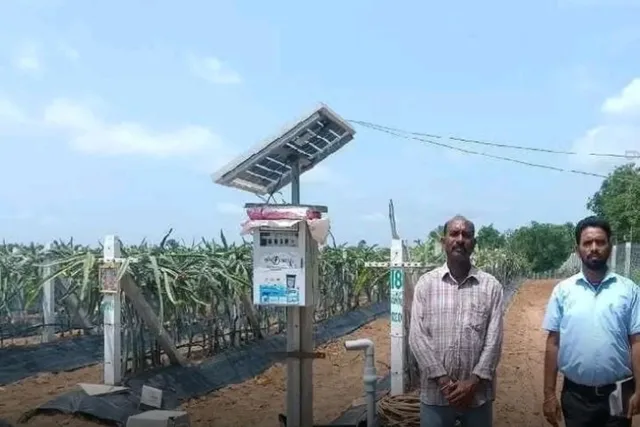 రైతుకు డ్రాగన్ ఫ్రూట్ తోటతో అధిక లాభాలు: అధికారి