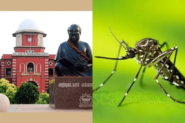 டெங்கு காய்ச்சல் - 3 மாணவர்கள் உயிரிழப்பு டெங்கு காய்ச்சல் - 3 மாணவர்கள் உயிரிழப்பு