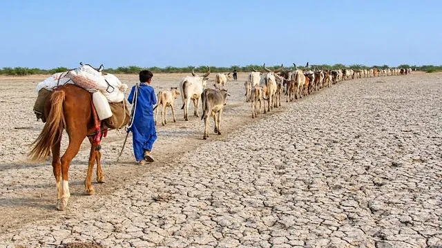 భారత్‌లో అతిపెద్ద జిల్లా ఇదే