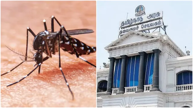 டெங்கு பரவலை தடுக்க போர்க்கால நடவடிக்கை.. தமிழக அரசு உத்தரவு