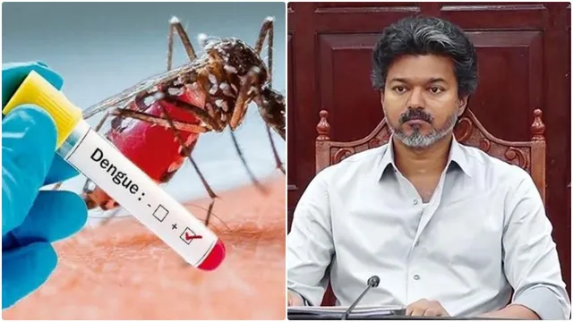 டெங்கு தடுப்பு நடவடிக்கை.. அதிகாரிகளுக்கு CM விஜய் உத்தரவு