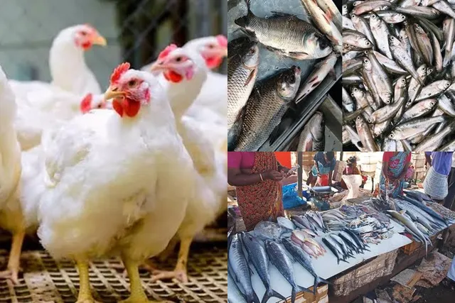 இறைச்சி, மீன் கடைகளில் கூட்டம் இறைச்சி, மீன் கடைகளில் கூட்டம்