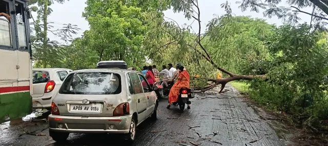 భారీ వృక్షం రోడ్డుపై కూలి భారీగా ట్రాఫిక్ జామ్