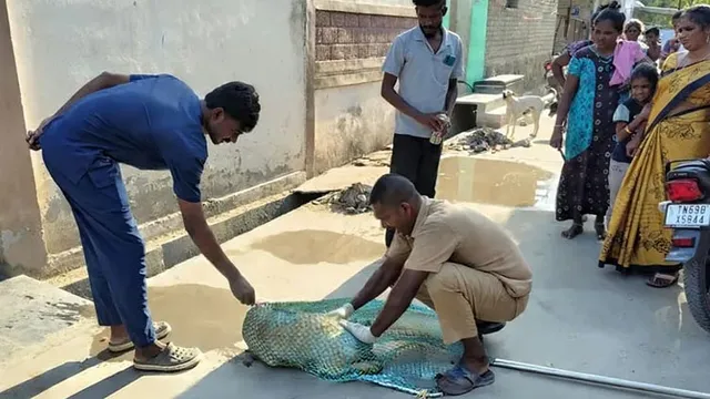 தூத்துக்குடியில் 1,405 நாய்களுக்கு தடுப்பூசி, 331க்கு கருத்தடை