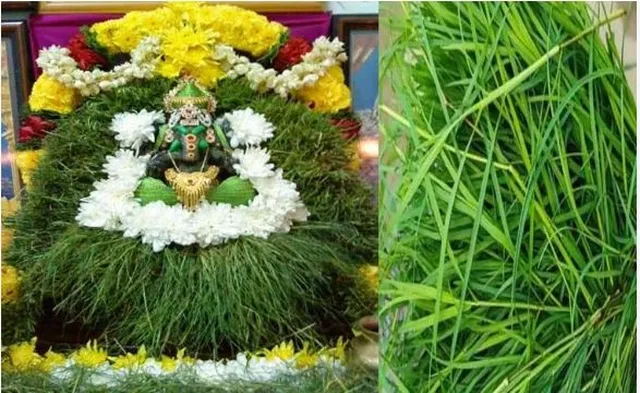 గణేశుడి పూజలో ‘గరిక’కు ప్రాధాన్యత ఎందుకిస్తారో తెలుసా?