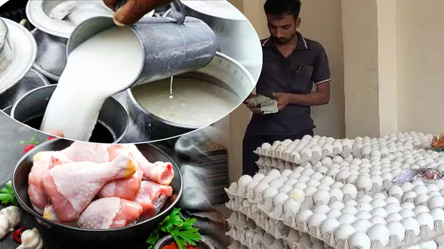 గుడ్లు, చికెన్, పాల ధరలు ఎందుకు పెరుగుతున్నాయో తెలుసా?