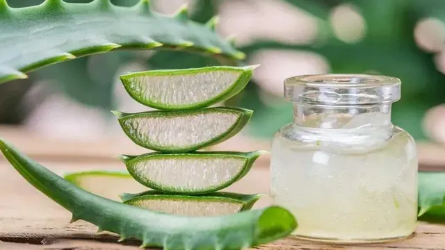 కలబంద జ్యూస్ తాగితే ఎన్నో ఆరోగ్య ప్రయోజనాలు
