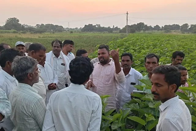 సెరికల్చర్ సాగు బాగుంది సెరికల్చర్ సాగు బాగుంది