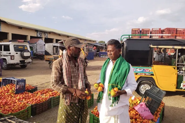 మార్కెట్ లో టమోటా రైతులకు స్థిరమైన రేట్లు కొనసాగించాలి