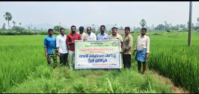 సన్నరకం వరి సాగుపై రైతులకు క్షేత్రస్థాయి అవగాహన