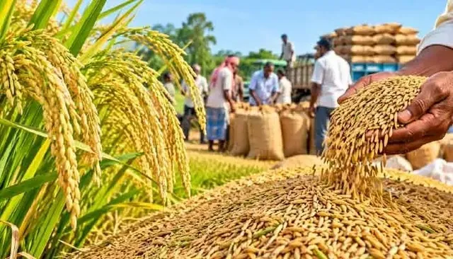 భారీగా పెరిగిన సన్నరకం ధాన్యం ధరలు