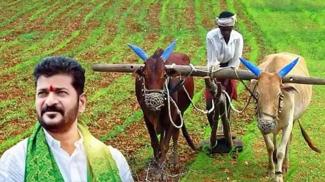 తెలంగాణలోని రైతులకు శుభవార్త.. రాయితీపై విత్తనాలు పంపిణీ చేయనున్న ప్రభుత్వం